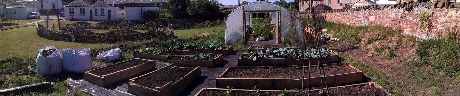 Dunbar Grammar School Community Chicken Coop | Incredibly Edible ...