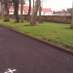 Parsonspool trees by library
