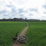 Dunbar to North Berwick by bike