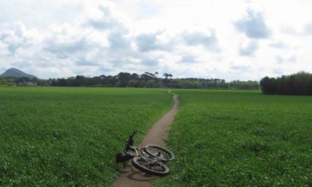 Dunbar to North Berwick by bike