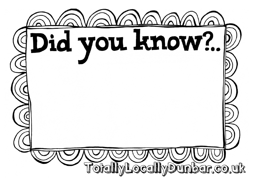 poster_DidYouKnow-EXPORT