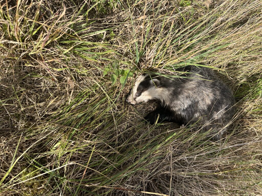 This image has an empty alt attribute; its file name is IMG_2225-scaled-e1765800617408-1024x768.jpeg