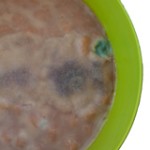 mouldy food in a bowl